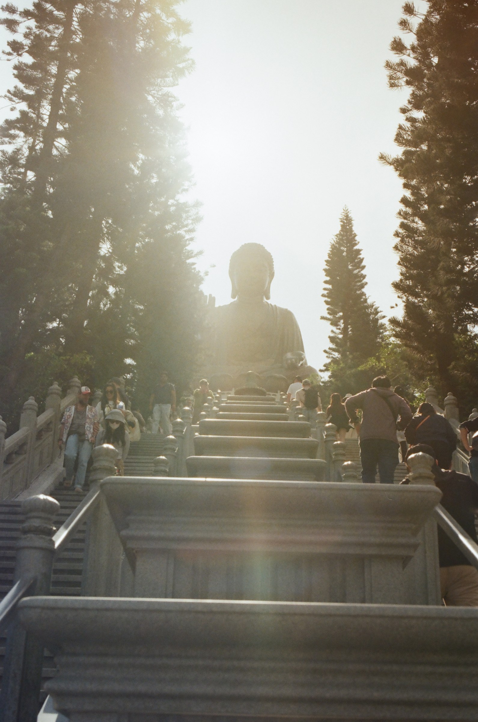The stairs up to the Big Buddha against the sun