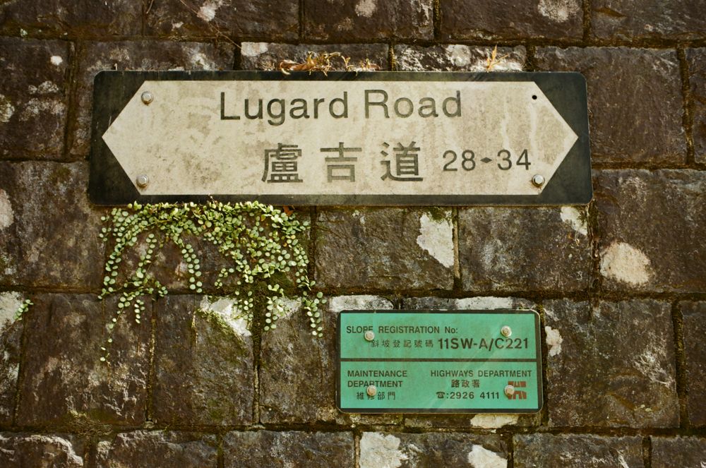 Lugard Road sign set in a mossy stone wall